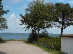 Kuestenperle